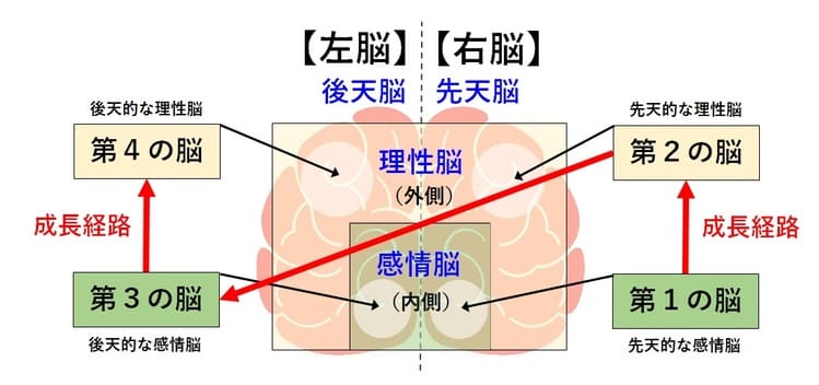 脳内の４つの人格特徴