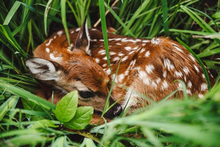 依存したり、頼ることは苦手ですか？