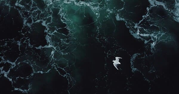 離婚の決め手はある？決断する前に