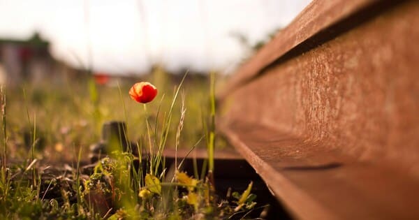 父親のモラハラ対処法の相談なら