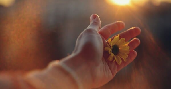 旦那の浮気を許す方法とその後の対応方法