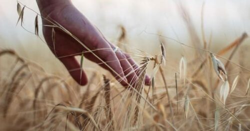 浮気相手と別れない夫の心理